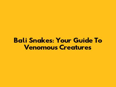 Bali Snakes: Your Guide To Venomous Creatures